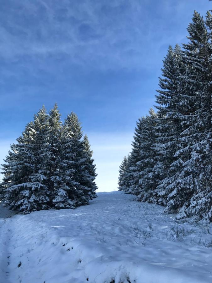 Ferienwohnung Morgentau Am Rande Der Wildnis Sibratsgfall Exterior photo